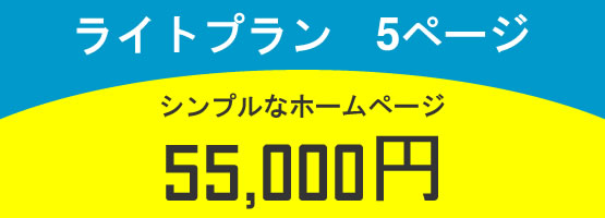 ライトプラン 5ページ 55,000円